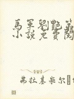 马军刘艳第九部小说免费阅读全文