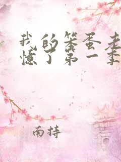 我的笨蛋老婆失忆了第一季在线观看