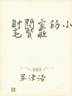 财阀家的小儿子毛贤敏