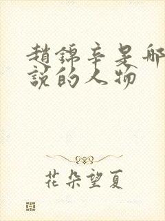 赵锦辛是哪本小说的人物