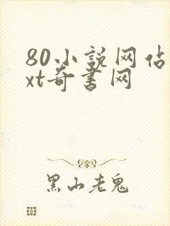80小说网站txt奇书网