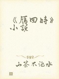 《雁回时》原著小说