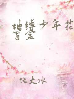 地缚少年花子君盲盒