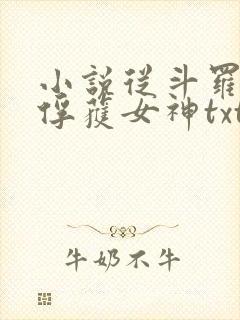 小说从斗罗开始俘获女神txt