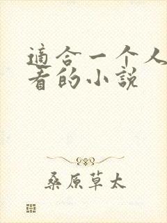 适合一个人悄悄看的小说