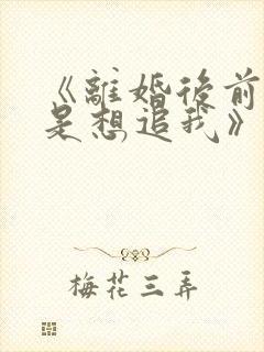 《离婚后前夫总是想追我》