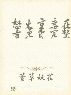 怒火重案在线观看免费完整版国语