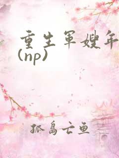 重生军嫂年代文(np)