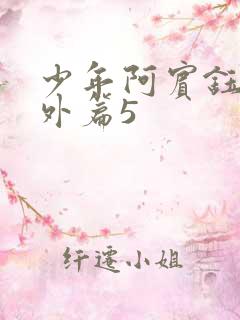 少年阿宾钰慧番外篇5