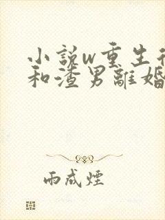 小说w重生后我和渣男离婚了》