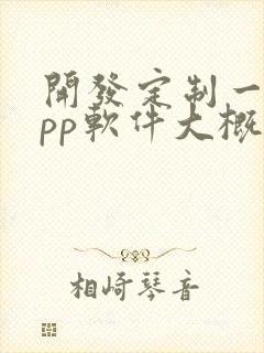 开发定制一个app软件大概多少钱