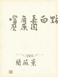 嘴角长白点是什么原因