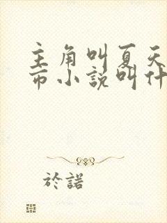 主角叫夏天的都市小说叫什么名字