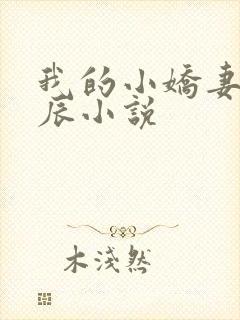 我的小娇妻霍叶辰小说