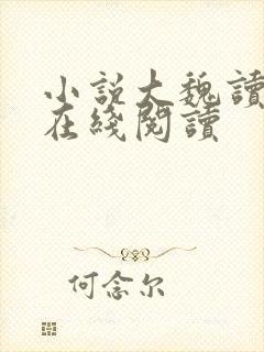 小说大魏读书人在线阅读