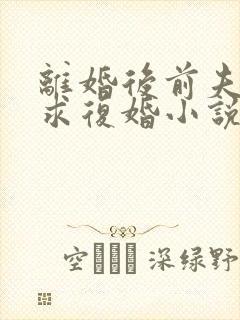 离婚后前夫哭着求复婚小说无弹窗