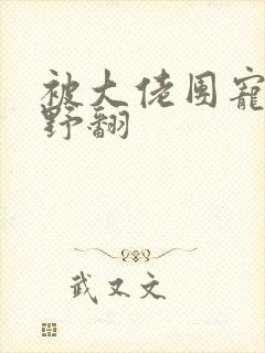 被大佬团宠后我野翻