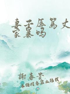 妻子辱骂丈夫算家暴吗