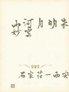 山河月明朱棣徐妙云