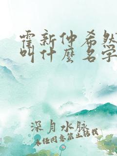 霍新仲希然小说叫什么名字