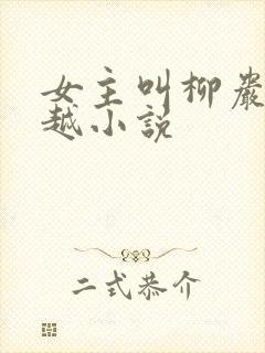 女主叫柳岩的穿越小说