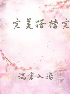 完美搭档完整版