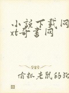 小说下载网站txt奇书网