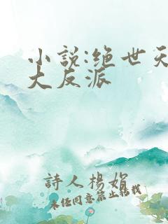 小说:绝世天命大反派