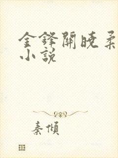 金锋关晓柔穿越小说