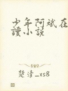 少年阿斌在线阅读小说