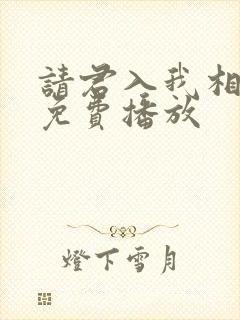 请君入我相思局免费播放