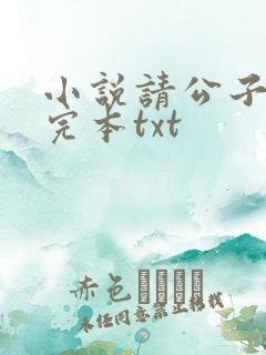 小说请公子斩妖完本txt