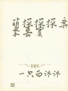 萌探探探案第三季嘉宾