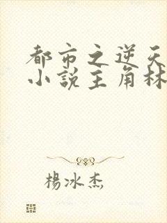 都市之逆天仙尊小说主角林凡