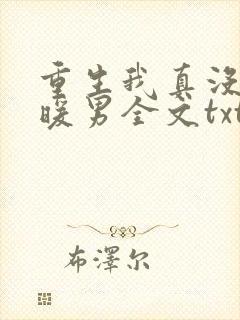 重生我真没想当暖男全文txt下载