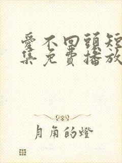 爱不回头短剧全集免费播放