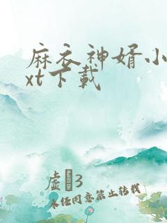 麻衣神婿小说txt下载