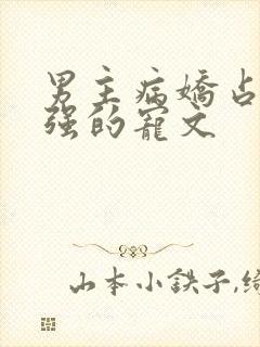 男主病娇占有欲强的宠文