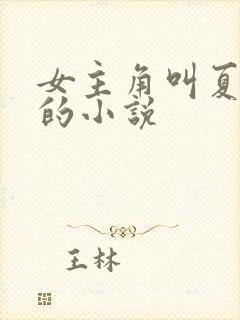 女主角叫夏之晴的小说