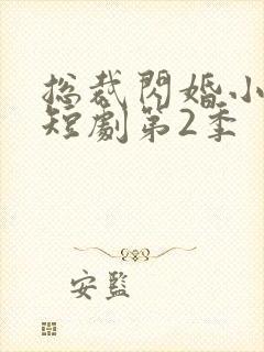 总裁闪婚小娇妻短剧第2季