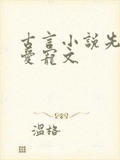 古言小说先婚后爱宠文