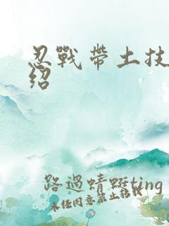 忍战带土技能介绍