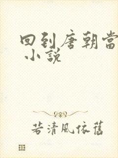 回到唐朝当王爷 小说