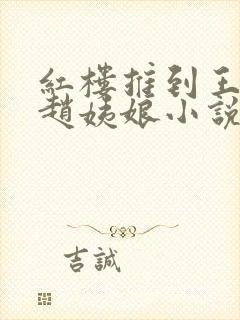 红楼推到王夫人赵姨娘小说