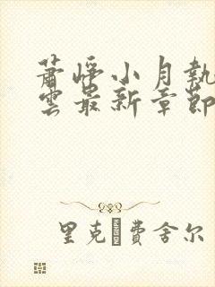 萧峥小月执掌风云最新章节