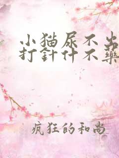 小猫尿不出来尿打针什不药