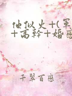 他似火+(军婚+高干+婚恋)