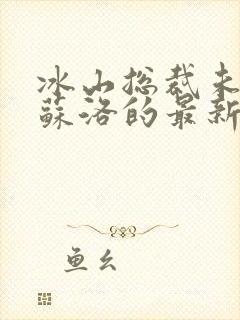 冰山总裁未婚妻苏洛的最新章节内容