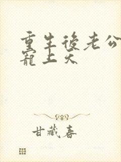 重生后老公把我宠上天