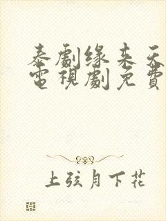 泰剧缘来天注定电视剧免费观看